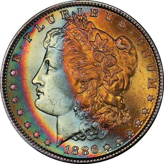 Picture of Toned Morgan Silver Dollar